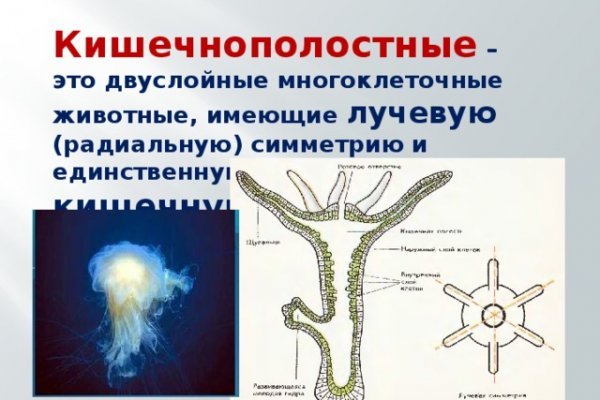 Kraken ссылка актуальная